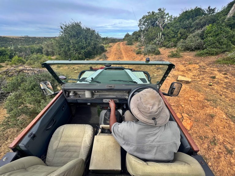 Südafrika: Roadtrip von Kapstadt nach Port Elizabeth