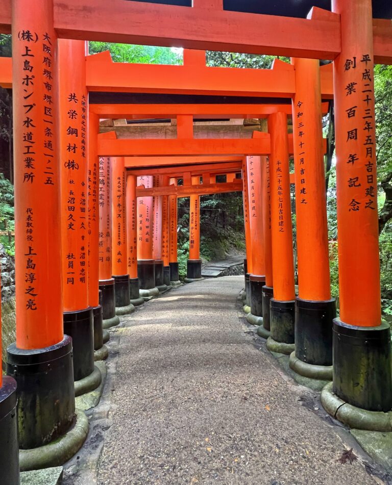 Kyoto – die Stadt, die mich in Japan am meisten begeistert hat